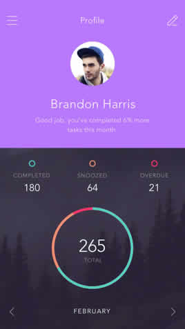 website template image