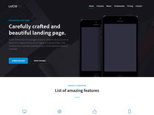 Lucidlp Free Website Template