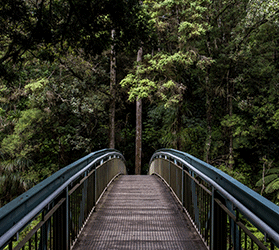 website template image