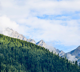 website template image